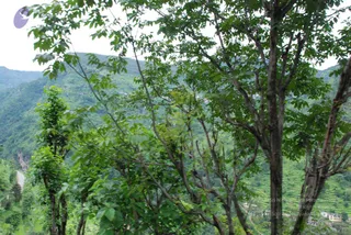 July 07 2008