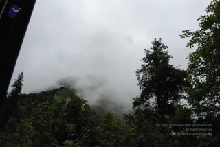July 07 2008