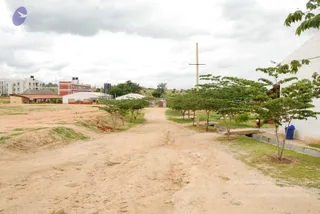 June 20 2009