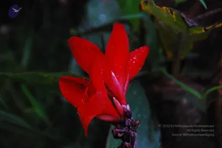 September 02 2009