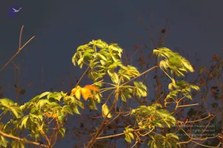 February 03 2010