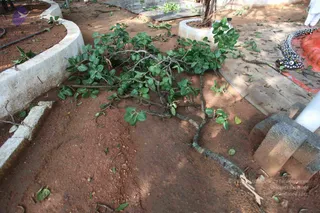 June 05 2010