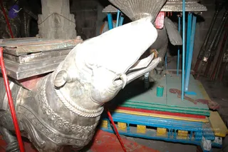 Making Of Sacred Arts University