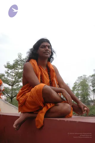June 04 2006