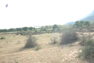 1978 - Tiruvannamalai - InnerGirivala