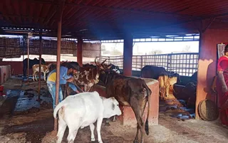 December 29 2021 sripuram