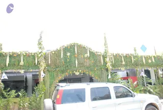 July 11 2009