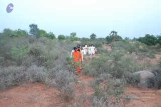 August 05 2009