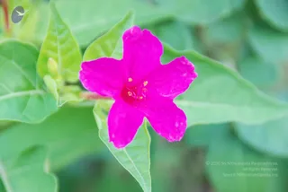 August 09 2010