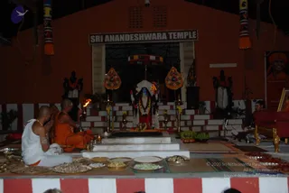 November 05 2010