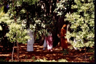 2003 -Glimpses From Various Programs