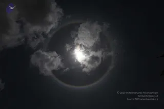 July 11 2010
