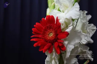 December 06 2010