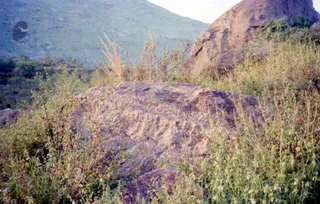 2003 -Glimpses From Various Programs