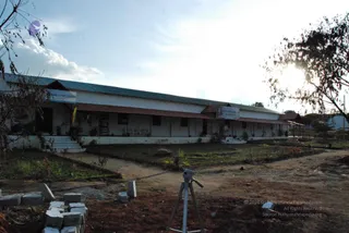 November 20 2008