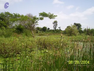 August 28 2004