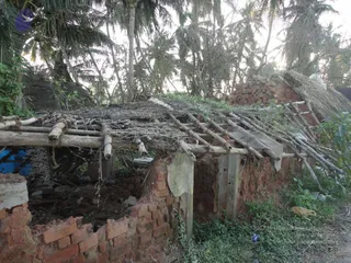 January 06 2012