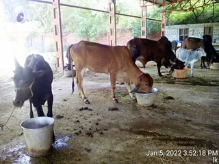 January 05 2022