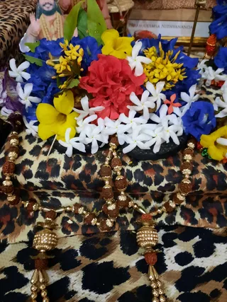 Photo 9922852