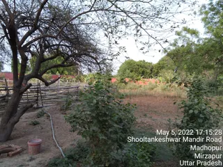 KASHI SARVAJNAPEETAM on 5/5/2022