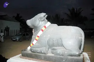 February 25 2007