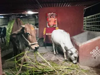 Jan 6 2022 sripuram