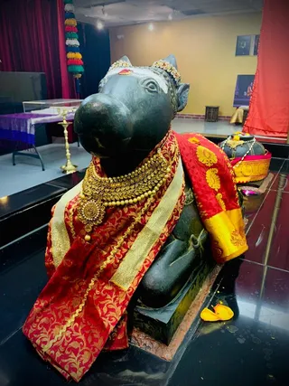Photo 9922910
