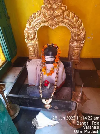 Photo 9922964