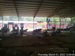 March 31 2022