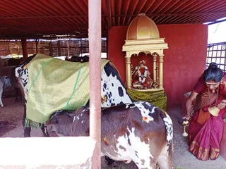 Jan 31 2022 sripuram
