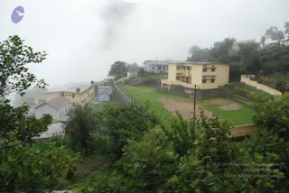 July 08 2008