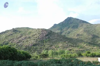 August 01 2008