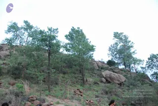 August 05 2009