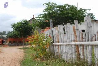 July 08 2010