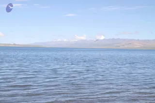 August 05 2011