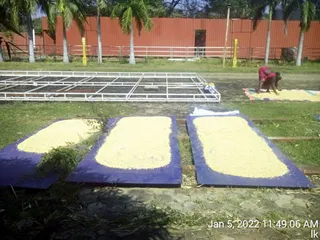 January 05 2022