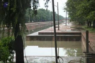 July 30 2011