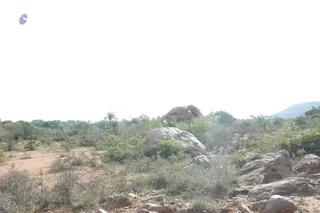 1978 - Tiruvannamalai - InnerGirivala