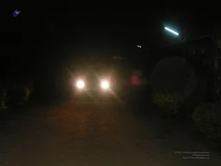 20080101 more 080446.jpg