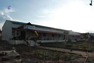 November 20 2008
