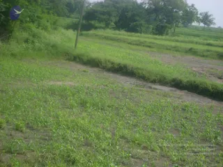 September 2006 - Sindhanur flood relief