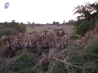 October 02 2009