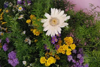 July 29 2008