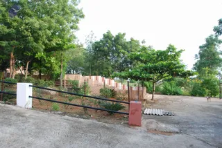 September 14 2009