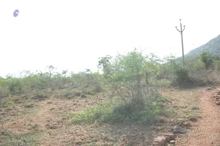 1978 - Tiruvannamalai - InnerGirivala