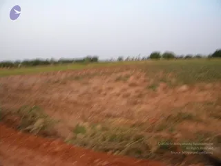 October 02 2009