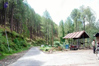 July 01 2008