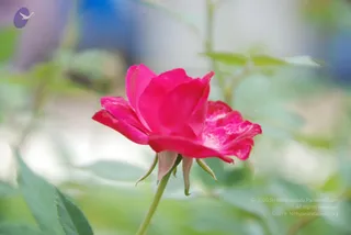 July 08 2010