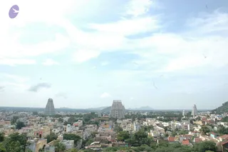 May 20 1989