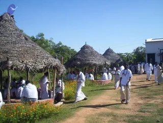 November 30 2005